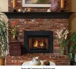 Natural Gas Fireplace Insert Elegant Gas Fireplace Inserts & Logs Give You the Look Of Real Fire
