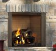 Natural Gas Fireplace Insert Unique Elegant Outdoor Gas Fireplace Inserts Ideas