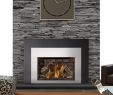 Natural Gas Fireplace Insert Vented Inspirational Xir4 Gas Inserts