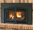 Natural Gas Fireplace Insert with Blower Beautiful Wood Fireplace Inserts with Blowers – Detoxhojefo