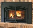 Natural Gas Fireplace Insert with Blower Beautiful Wood Fireplace Inserts with Blowers – Detoxhojefo