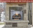 Natural Gas Fireplace Insert with Blower Luxury Valiant Od