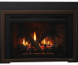 Natural Gas Fireplace Inserts Elegant Escape Gas Fireplace Insert