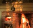 Newtown Fireplace Lovely 32 Best Cooking Hearth Fireplace Images