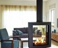 Ortal Fireplace Luxury 27 Gorgeous Double Sided Fireplace Design Ideas Take A Look