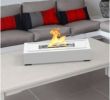 Outdoor Ethanol Fireplace Inspirational Don T Miss This Deal Regal Flame Utopia Ventless Portable
