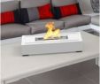 Outdoor Ethanol Fireplace Inspirational Don T Miss This Deal Regal Flame Utopia Ventless Portable