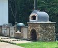 Outdoor Fireplace Kits with Pizza Oven New Outdoor Pizza Oven Wood Fired Insulated W Brick Arch & Chimney