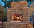 Outdoor Fireplace Kits Wood Burning Beautiful Majestic Montana 42" Outdoor Stainless Steel Wood Burning Fireplace with Traditional Refractory