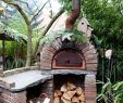 Outdoor Fireplace Pizza Oven Combo Awesome Unique Outdoor Fireplace and Pizza Oven Bination Plans