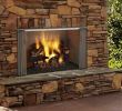Outdoor Wood Burning Fireplace Insert Luxury Majestic Odvilla42t