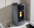 Pellet Burning Fireplace Inspirational Klover Dea Wood Pellet Stove Klover Dea Eco Wood Pellet