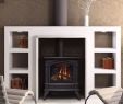 Pellet Burning Fireplace Lovely Pin by Carmen Gumz On Decorating Ideas