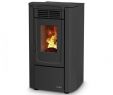 Pellet Burning Fireplace Unique Pelletofen Dal Zotto Edy 6 Kw