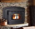 Pellet Stove Fireplace Inserts Fresh the Fyre Place & Patio Shop Owen sound Tario