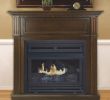 Pleasant Hearth Fireplace Doors Awesome Pleasant Hearth Vent Free Fireplace 27 500 Btu 42in Propane