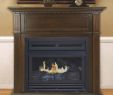 Pleasant Hearth Fireplace Doors Awesome Pleasant Hearth Vent Free Fireplace 27 500 Btu 42in Propane