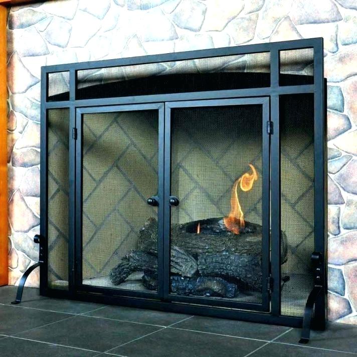Pleasant Hearth Fireplace Doors Fresh Chimney Clean Out Door – Goamericanewsfo
