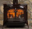Pleasant Hearth Fireplace Doors New Best Wood Stove 9 Best Picks Bob Vila