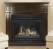 Pleasant Hearth Fireplace Doors Unique Pleasant Hearth 46 In Natural Gas Full Size Cherry Vent Free Fireplace System 32 000 Btu