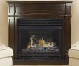 Pleasant Hearth Glass Fireplace Doors Beautiful Pleasant Hearth 46 In Natural Gas Full Size Cherry Vent Free Fireplace System 32 000 Btu