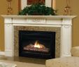 Prefab Fireplace Mantel Elegant Prefabricated Wood Burning Fireplace – Dlsystem