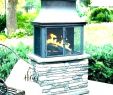 Prefab Outdoor Fireplace Kits Lovely Fireplace Kit Indoor – Boyacarural