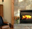 Prefab Wood Burning Fireplace Lovely Prefabricated Wood Burning Fireplace – Dariri