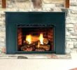 Prefab Wood Burning Fireplace Luxury Prefabricated Wood Burning Fireplace Installation – Dariri