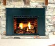 Prefab Wood Burning Fireplace Luxury Prefabricated Wood Burning Fireplace Installation – Dariri