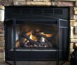 Prefab Wood Burning Fireplace Luxury Prefabricated Wood Burning Fireplace Installation – Dariri