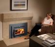 Prefab Wood Burning Fireplace New Small Flush Hybrid Fyre Wood Insert Arch