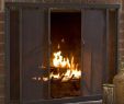 Prefabricated Fireplace Doors Fresh Modern Wood Burning Fireplace Doors Year Of Clean Water