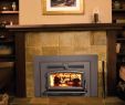 Prefabricated Fireplace Insert Inspirational Small Wood Burning Fireplace Insert Stove for the Salamander