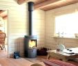 Propane Fireplace Indoor Fresh Indoor Wood Burning Stove – Niaresh