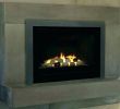 Propane Fireplace Logs Elegant Ventless Gas Fireplace Logs Home Depot Fireplace Design Ideas