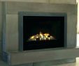 Propane Fireplace Logs Elegant Ventless Gas Fireplace Logs Home Depot Fireplace Design Ideas