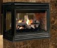 Propane Fireplace Repair Best Of Gas Kamin Flamme Farbe Gaskamin Gaskamin In 2019