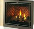 Propane Fireplace Repair Inspirational Majestic Gas Fireplace Pilot Light Instructions Fireplace