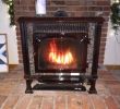 Propane Fireplace Stove Fresh Hearthstone Stove