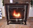 Propane Fireplace Stove Fresh Hearthstone Stove