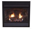 Propane Freestanding Fireplace Best Of Vent Free Natural Gas Propane Fireplace
