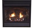 Propane Freestanding Fireplace Best Of Vent Free Natural Gas Propane Fireplace