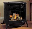 Propane Freestanding Fireplace Luxury Stardance Vent Free Gas Stove Special Spaces