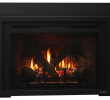 Propane Gas Fireplace Insert Beautiful Escape Gas Fireplace Insert