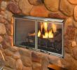 Propane Gas Fireplace Insert Best Of Majestic 36 Inch Outdoor Gas Fireplace Villa