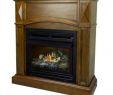 Propane Ventless Fireplace Luxury 20 000 Btu 36 In Pact Convertible Ventless Propane Gas Fireplace In Heritage Oak