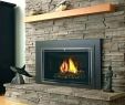 Regency Gas Fireplace Insert Luxury Fireplace Insert Water Heat Wood Stove Regency Laundry