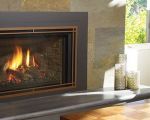 10 New Regency Gas Fireplace Insert