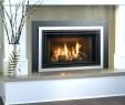 Regency Gas Fireplace Inserts New Gas Fireplace Remote – Lincolncabinets